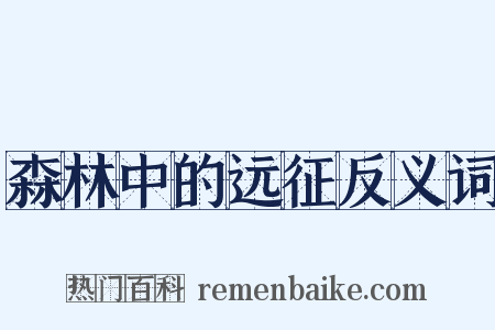森林中的远征反义词是什么意思的图片